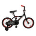 BMX FLIPSIDE BLACK 16_APOLLO CYMOT