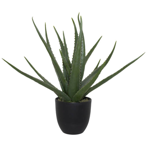 ALOE IN POT 47CM TRANS NATAL CUT GLASS