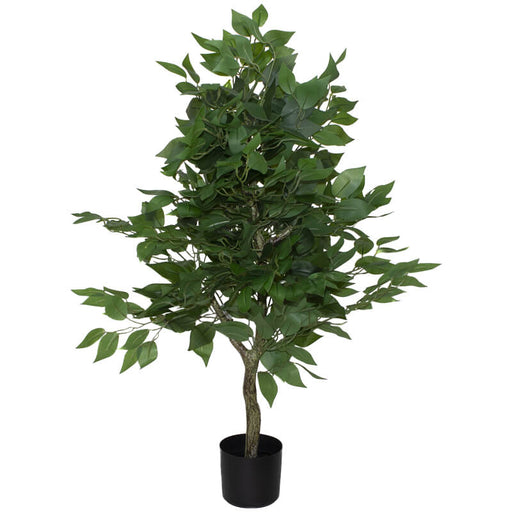 FICUS TREE IN POT 90CM TRANS NATAL CUT GLASS