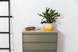 BON BON CHEST OF DRAWERS MOSS GREY POPSTRUKT