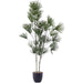 FINGER LEAF PALM 120CM TRANS NATAL CUT GLASS