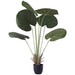 FAN LEAF PALM 120CM TRANS NATAL CUT GLASS