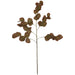 EUCALYPTUS AUTUMN STEM 88CM TRANS NATAL CUT GLASS