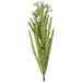 WHITE SNOWBERRY FYNBOS 60CM TRANS NATAL CUT GLASS