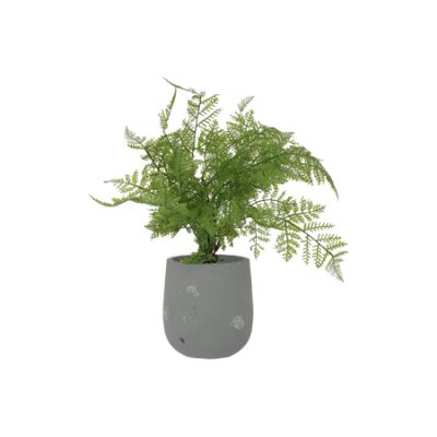 FERN POTTED PLANT 40CM TRANS NATAL CUT GLASS