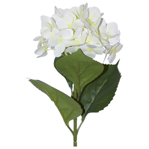 CREAM HYDRANGEA STEM 68CM TRANS NATAL CUT GLASS