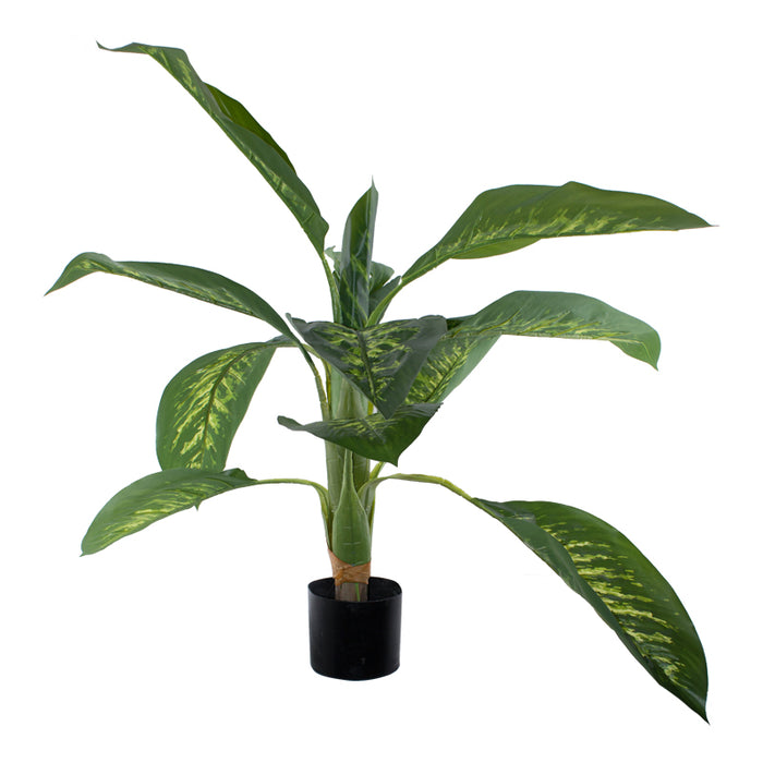 GREEN GIANT POTTED LEAF 100CM TRANS NATAL CUT GLASS