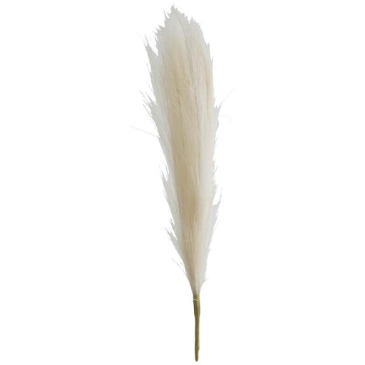 Beige Pampas Grass 44Cm TRANS NATAL CUT GLASS