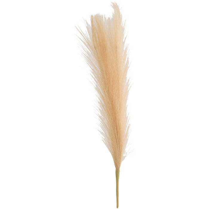 Oatmeal Pampas Grass 44Cm TRANS NATAL CUT GLASS