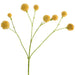 CAMOMILE STEM 50CM TRANS NATAL CUT GLASS