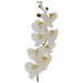 WHITE ORCHID 88CM TRANS NATAL CUT GLASS