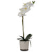 WHITE REAL TOUCH ORCHID 43CM TRANS NATAL CUT GLASS