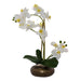 WHITE REAL TOUCH ORCHID 53CM TRANS NATAL CUT GLASS