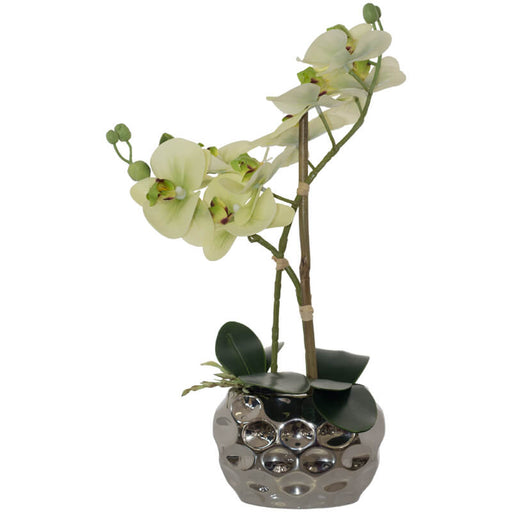 WHITE ORCHID IN MARBLE POT 33CM TRANS NATAL CUT GLASS