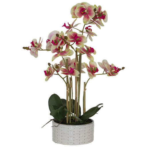 REAL TOUCH ORCHID 58CM TRANS NATAL CUT GLASS