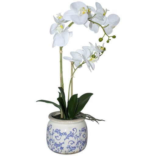 WHITE ORCHID IN BLUE/WHITE POT 55CM TRANS NATAL CUT GLASS