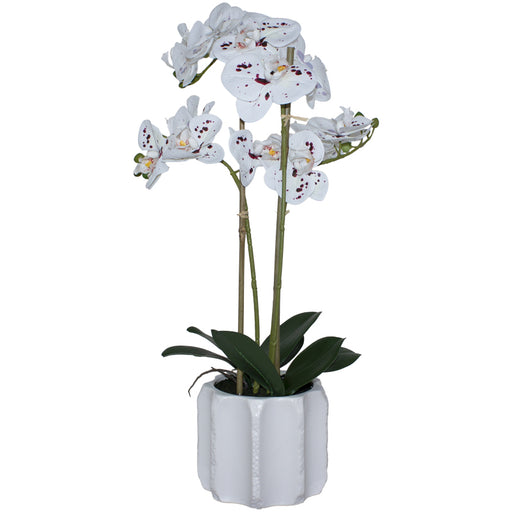 REAL TOUCH SPECKLED ORCHID 60CM TRANS NATAL CUT GLASS