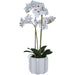 REAL TOUCH SPECKLED ORCHID 60CM TRANS NATAL CUT GLASS