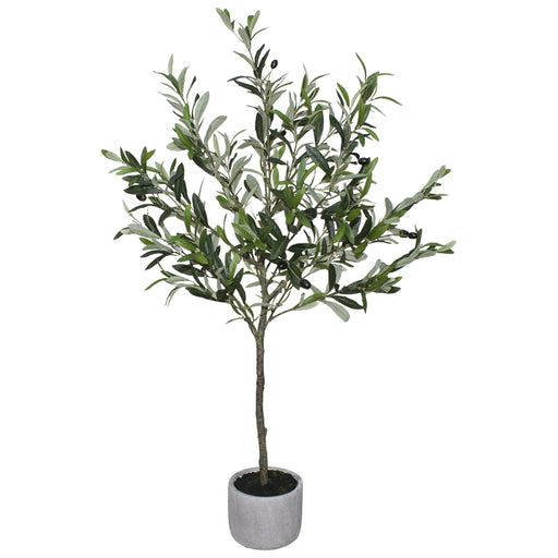 OLIVE TREE 109CM TRANS NATAL CUT GLASS