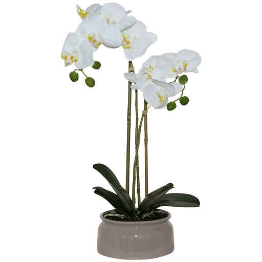 WHITE ORCHID IN BEIGE POT 46CM TRANS NATAL CUT GLASS