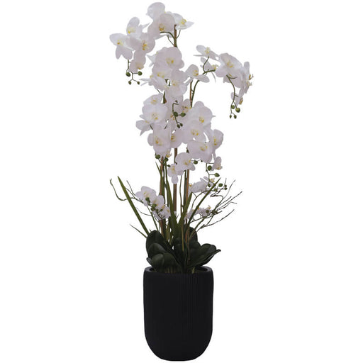 REAL TOUCH WHITE ORCHID/POT 150CM TRANS NATAL CUT GLASS