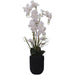 REAL TOUCH WHITE ORCHID/POT 150CM TRANS NATAL CUT GLASS