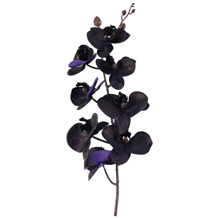 PURPLE BLACK ORCHID SPRAY 88CM TRANS NATAL CUT GLASS