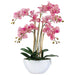 FUCHSIA ORCHID IN WHITE POT 66CM TRANS NATAL CUT GLASS