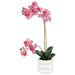 FUCHSIA ORCHID IN WHITE POT 51CM TRANS NATAL CUT GLASS